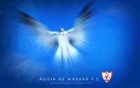 /album/wallpapers/aguia-1440x900-jpg/