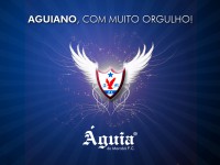/album/wallpapers/aguia-orgulho-1024x768-jpg/